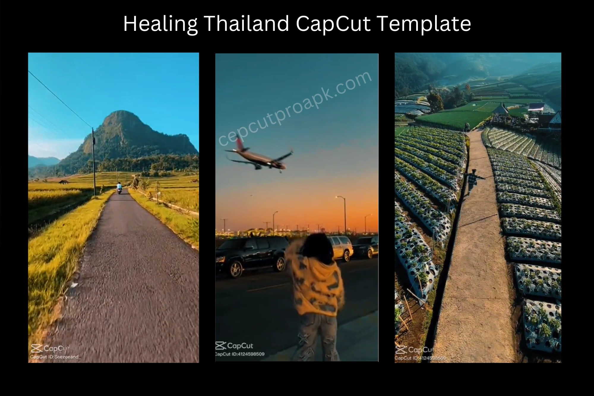 Use The Most Viral Template Of CapCut Pro "Healing Thailand Template" 1 Healing Thailand CapCut template